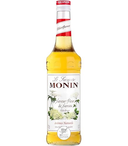 Amazon.co.jp: MONIN(モナン) キウイ シロップ 700ML 1本 : 食品・飲料